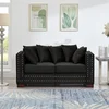 Black + Velvet + 2 Seat