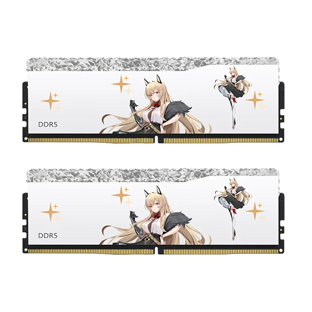 Juhor DDR5 RGB 6000MHz 32GB 16GB * 2 CL28 1.4V Hynix Memory ใช้