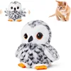 Snowy Owl