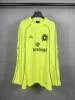 Fluorescent yellow