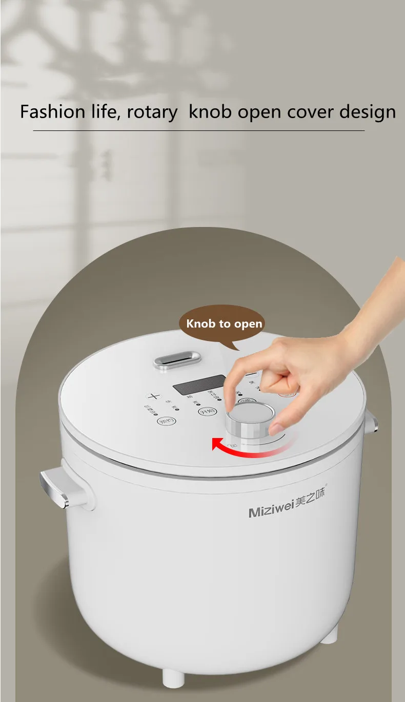 New Design Multifunctional Cute Mini Small National Electric Rice