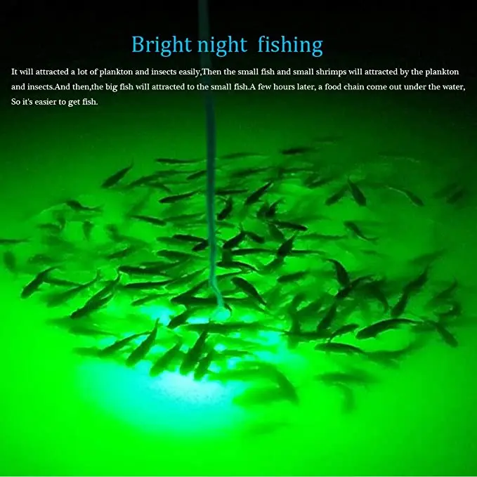 lights that attract fish