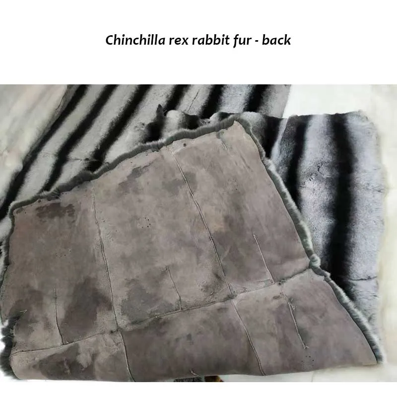 rex rabbit plates chinchilla back