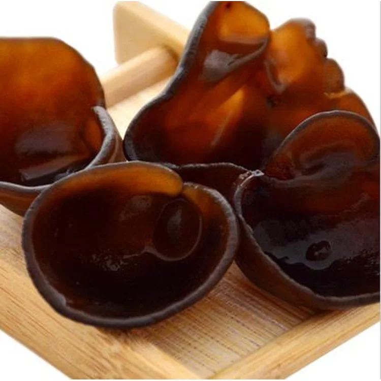edible fungus