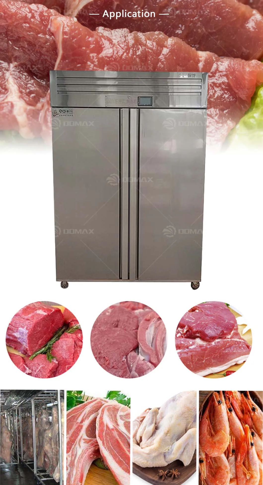Thawing Equipment, 220v, 3.5kw - detail 6
