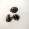 5×4cm