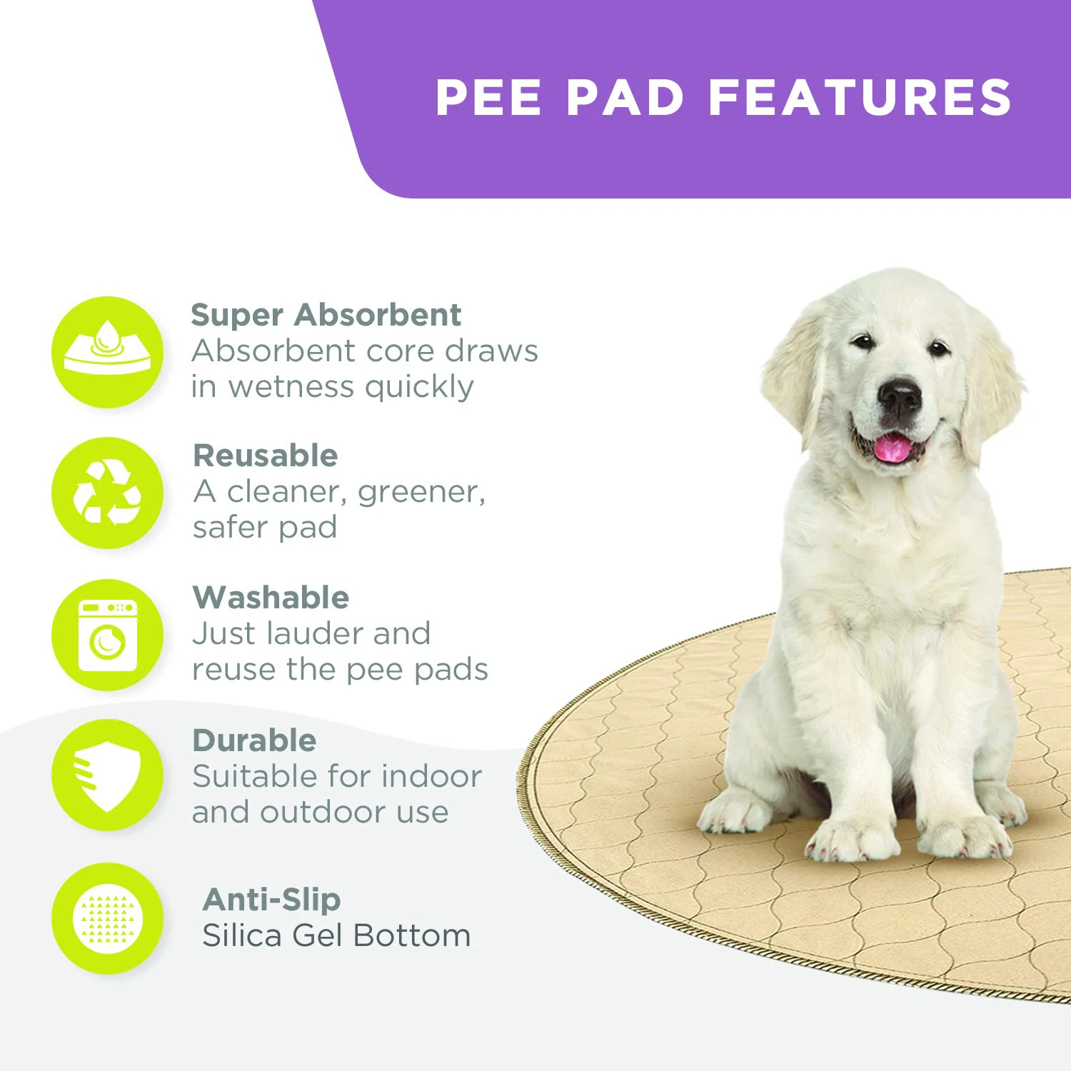 Home Puppy Training Pad