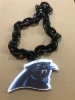 Carolina Panthers