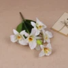 Corazón Amarillo Blanco