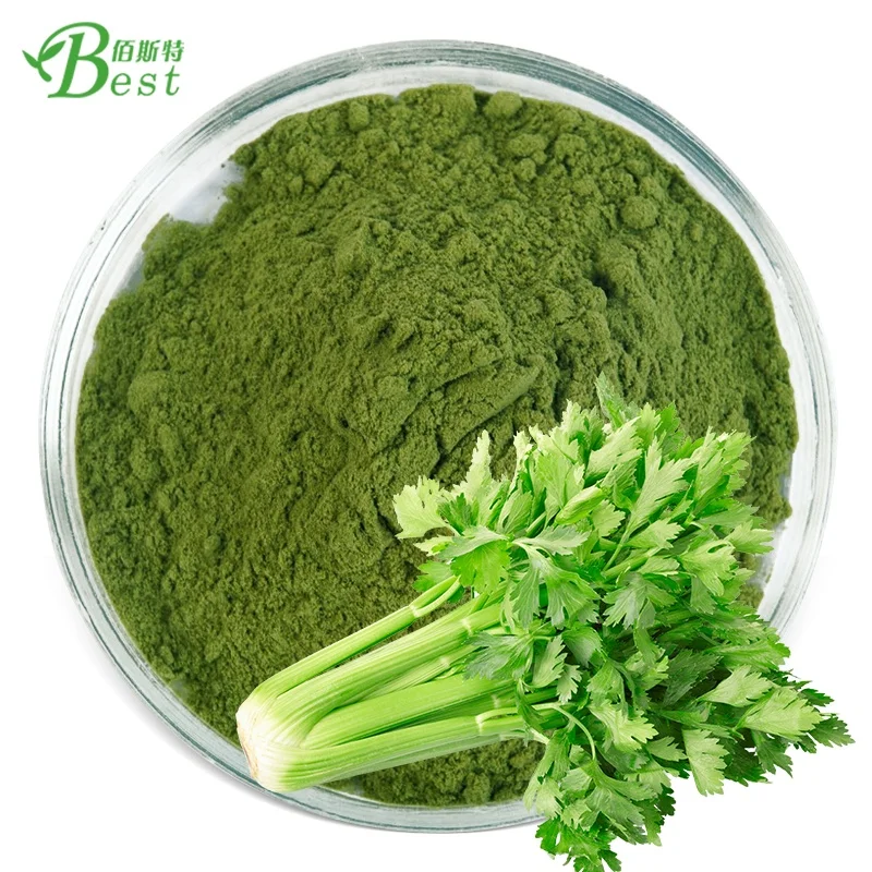 Wholesale Pure Apigenin Powder/celery Seed Extract Organic Celery Juice Powder Celery Extract
