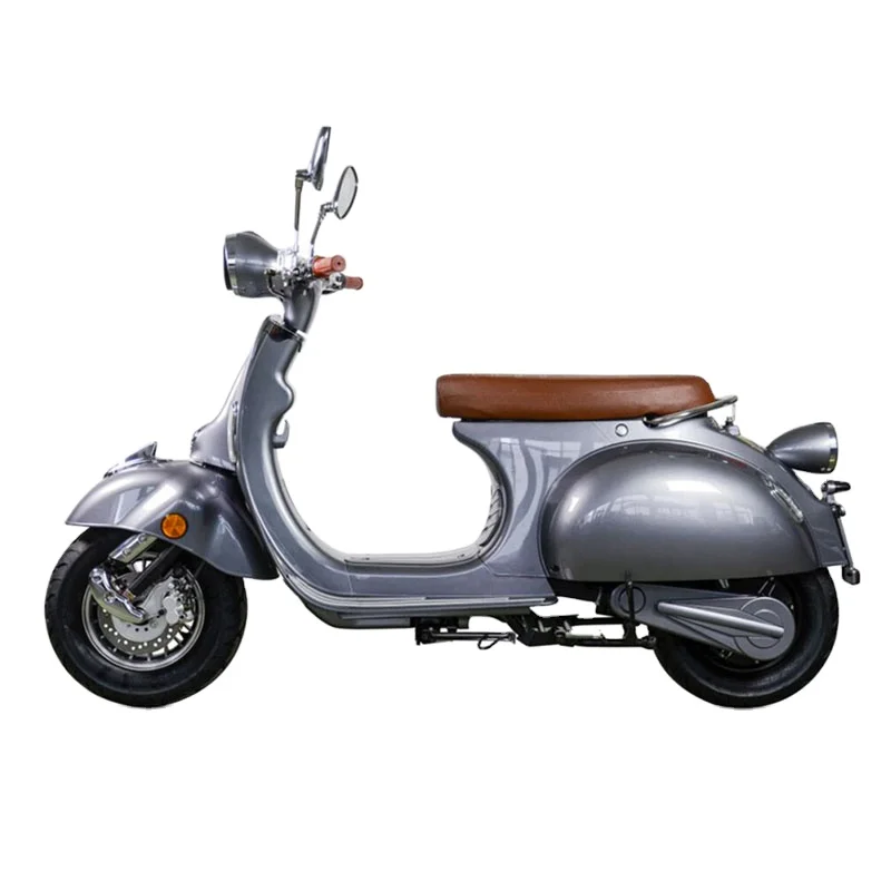 Retro Electric Scooter Style with Double Removable Battery 1500w