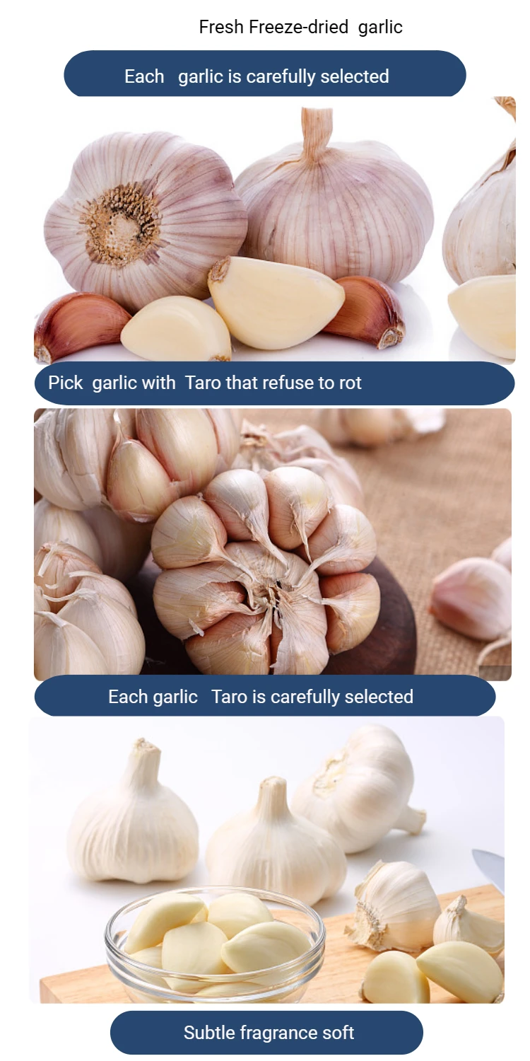 2022 New Season Frozen Garlic Buy Top Quality Frozen Peeled Garlic