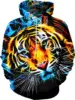 Ht-19 tigre