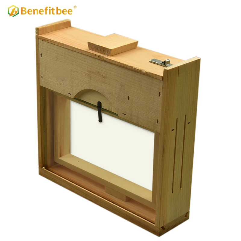 Benefitbee Beekeeping Mini Beehive Transparent Bee Hive Observation Beehive