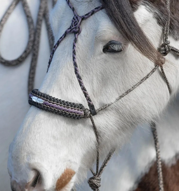 Accessoires Équestres en Gros - Bridons et Outils de Rêne Western