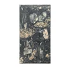 colorful Venetian black