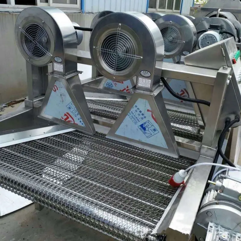 Ginger Surface Water Removing Drying Machine Turmeric air Blower Dryer Fruit and Vegetable Drying Machine