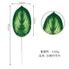 White green bamboo taro leaf