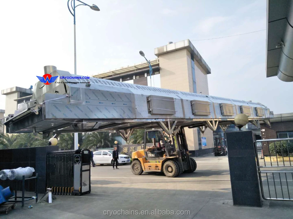 250kg-2T Small Blast Freezer Liquid Nitrogen IQF Tunnel Machine Iqf for Fish Seafoods Shirme Frozen Food