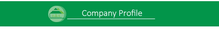 company Profile
