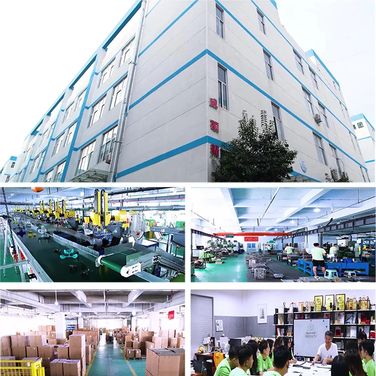 Luoyang Yuchong Trading Co., Ltd. 1