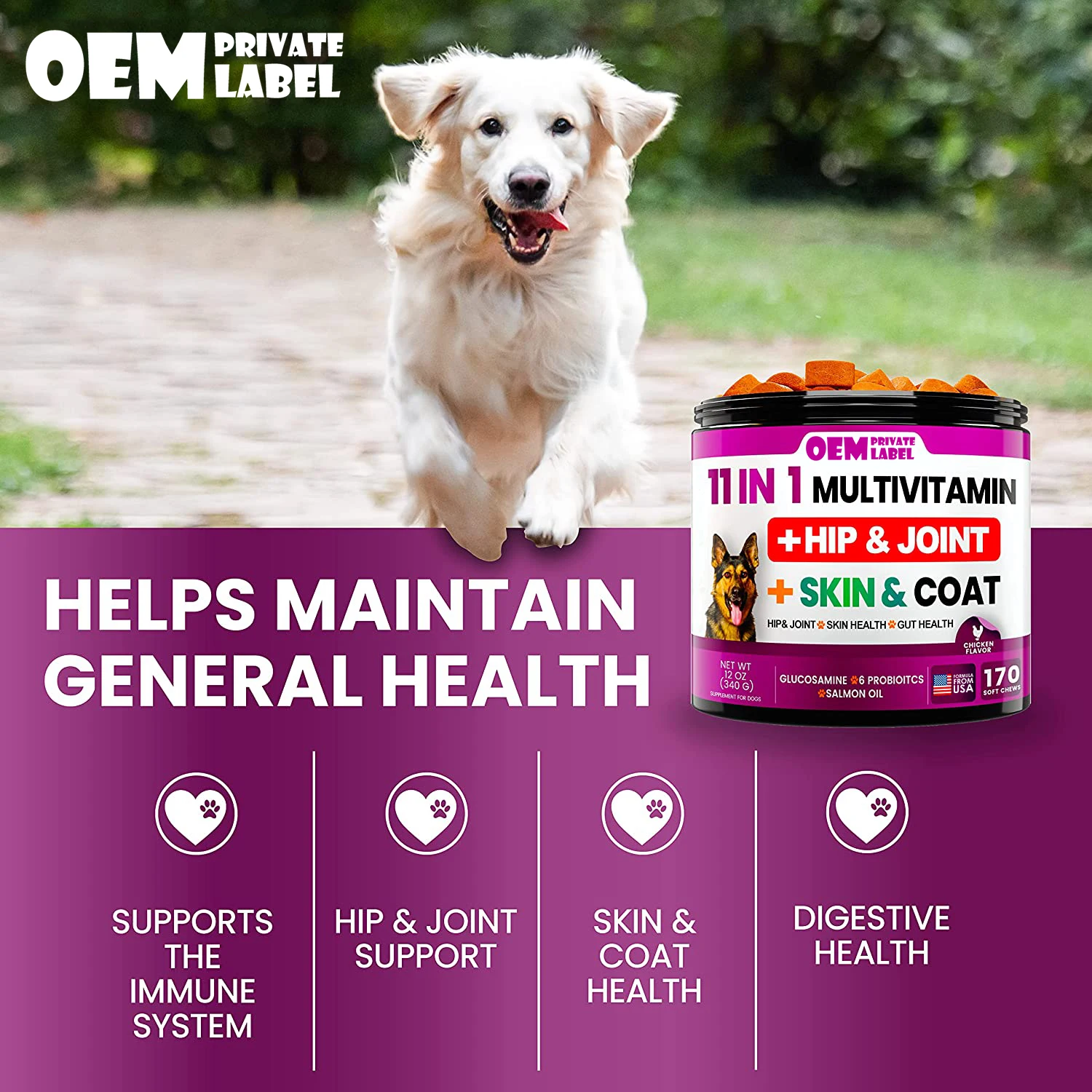 11 In 1 Dog Multivitamin Chewable With Glucosamine Dog Vitamins ...