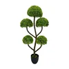 Green-TZL2411126