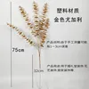Eucalyptus doré