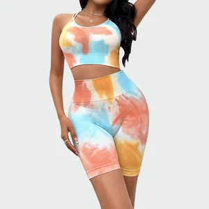 Customized 2 Piece Yoga Sets Color Blocking U-neck Breathable Bras and High Waist Elastic Shorts for Woman Outwear Sports