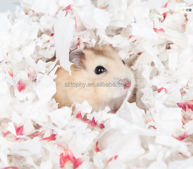 No Dust No Fade Pet Natural Paper Hamster Based Bedding Hamster Pellets Bedding Paper. Buy