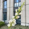 Campanula Champagne
