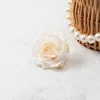 Une seule fleur blanche