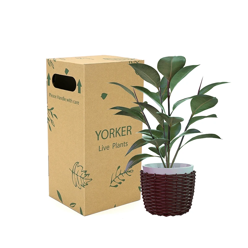 Wholesale Customized Recyclable Paper Succulent Pot Plant Packaging Box Long Cardboard Live Cactus Plant Shipping Carton Box