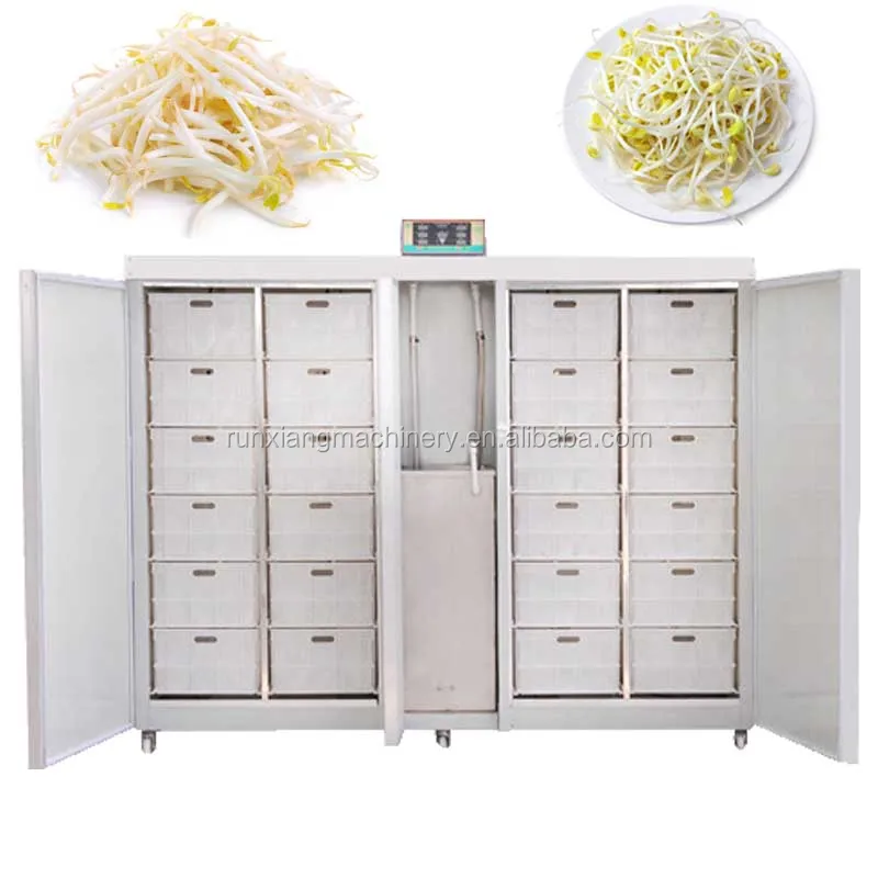 250kg/day Bean Sprout Growing Machine/sprouts Growing Equipment