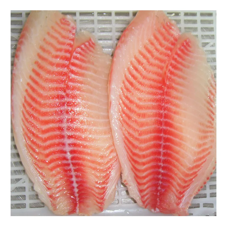 Supplying Frozen Tilapia Fillet Skinless Boneless By 10 Lbs Packing ...