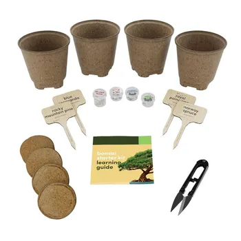 bonsai starter kit guide garden planting set gift plant set herb box for wholesale