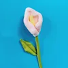 Calla rosa