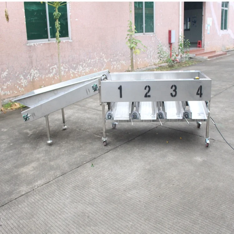 Professional Fruit Citrus Sorting Machine Lemon Grading Machine