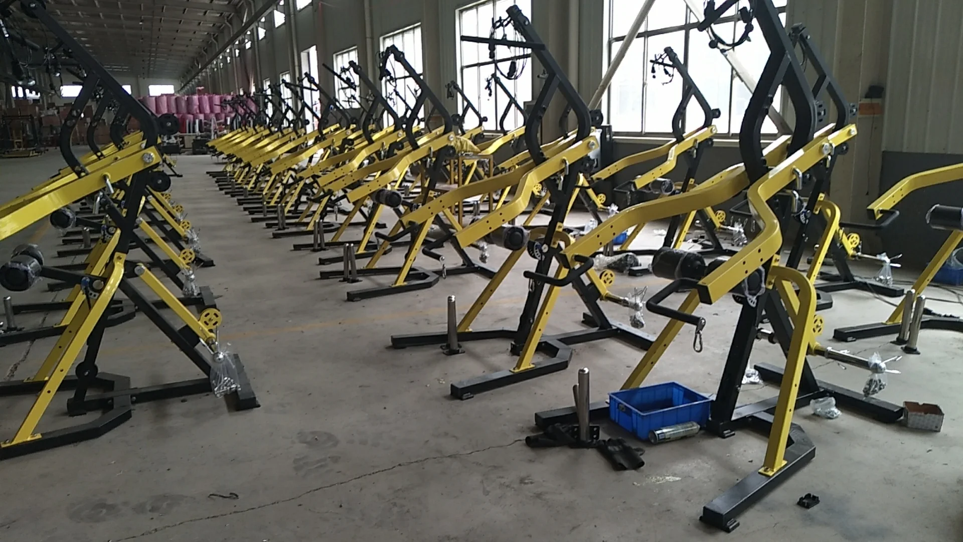 Venus gym online equipment