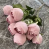Light Pink 4