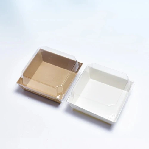 Disposable Box Square Rectangle Square Disposable Kraft Plastic Packaging Box