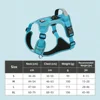 Upgraded lake blue airtag case