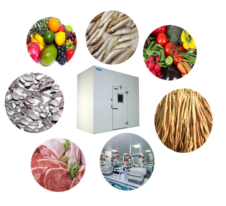 20FT 40FT Container Freezer Cold Storage Room and Chiller Freezer Container