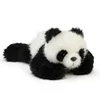 Giant panda