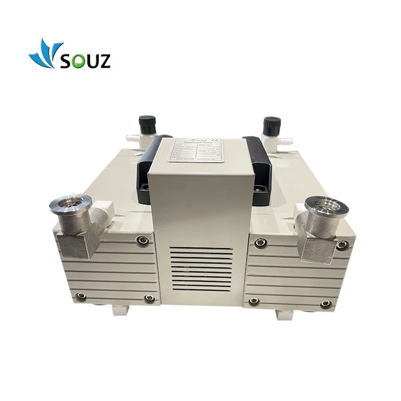 High Performance 2 Cube Meter 8mbar Negative Pressure 180W Oil Free Vacuum Pump DVP2 Diaphragm Vacuum Pump for Laboratory