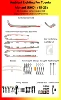 Toyota Alphard(RHD) Electroplated parts RGB 24 Lights