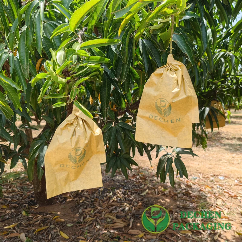 Waterproof Cover Guava Fruit Paper Growing Bag In Sri Lanka