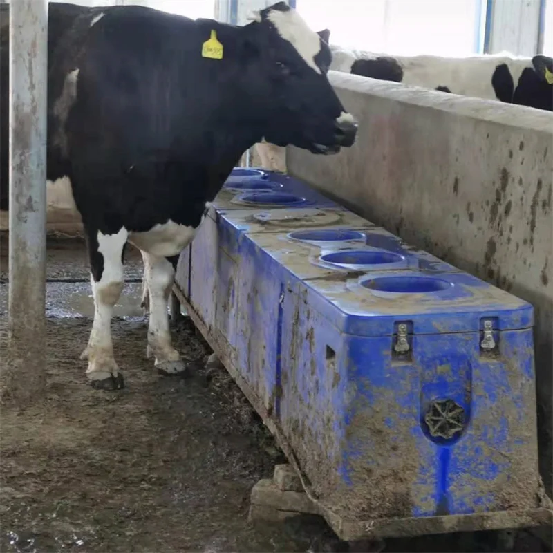Automatic Heat Preservation 4 Holes Cattle Water Trough For Cattle Farm