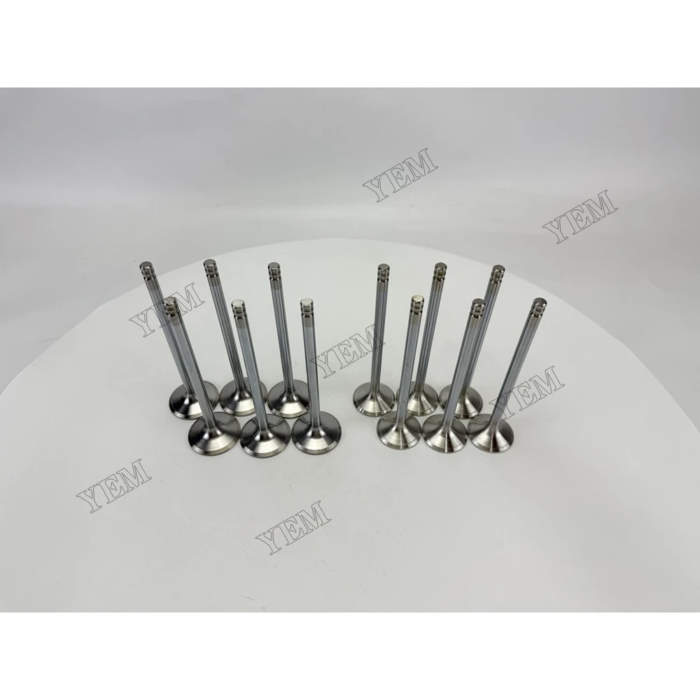 Extra Durable 8192143 3825723 for Intake and Exhaust Valves TD640VE 2