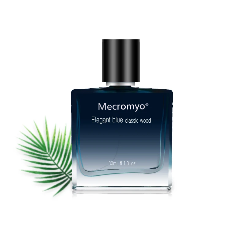 OEM/ODM Private Label Parfum Long Lasting Perfume Men's Perfume